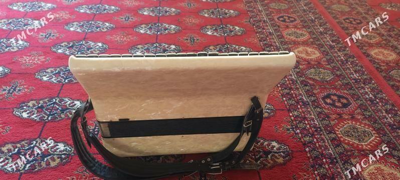 akardiýon raýalisdandart - Änew - img 3