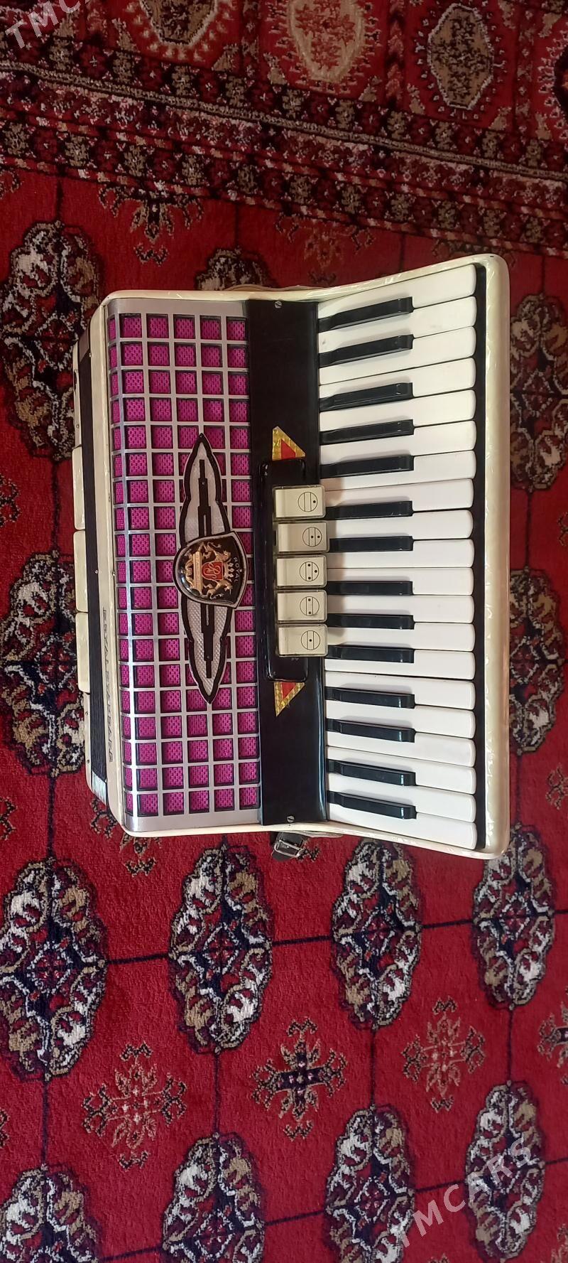 akardiýon raýalisdandart - Änew - img 2
