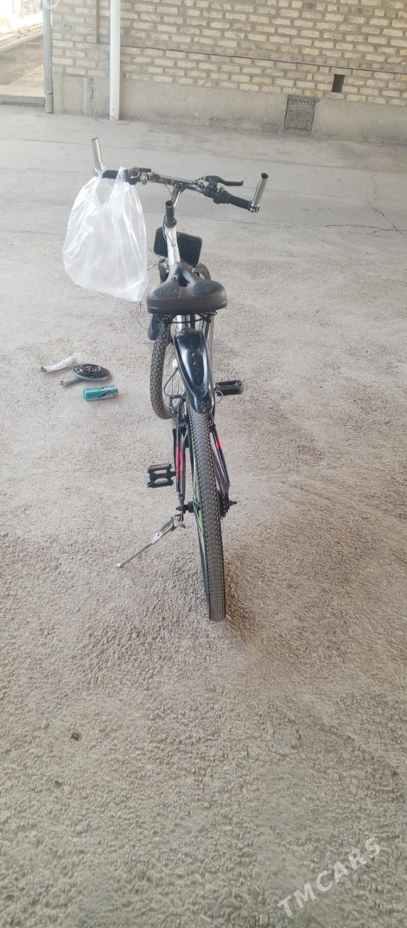 welik 26 - Мары - img 3