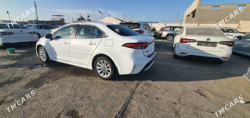 Toyota Corolla 2022 - 239 000 TMT - Мары - img 3