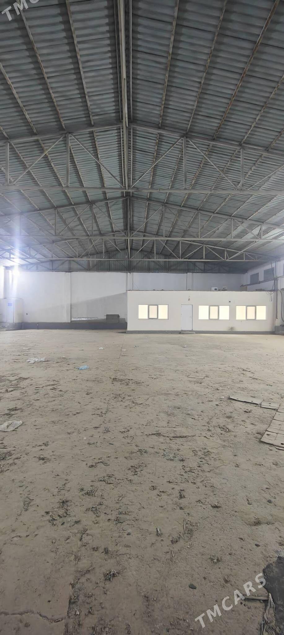 telekeçiler üçin ak tam sklat - Änew - img 2