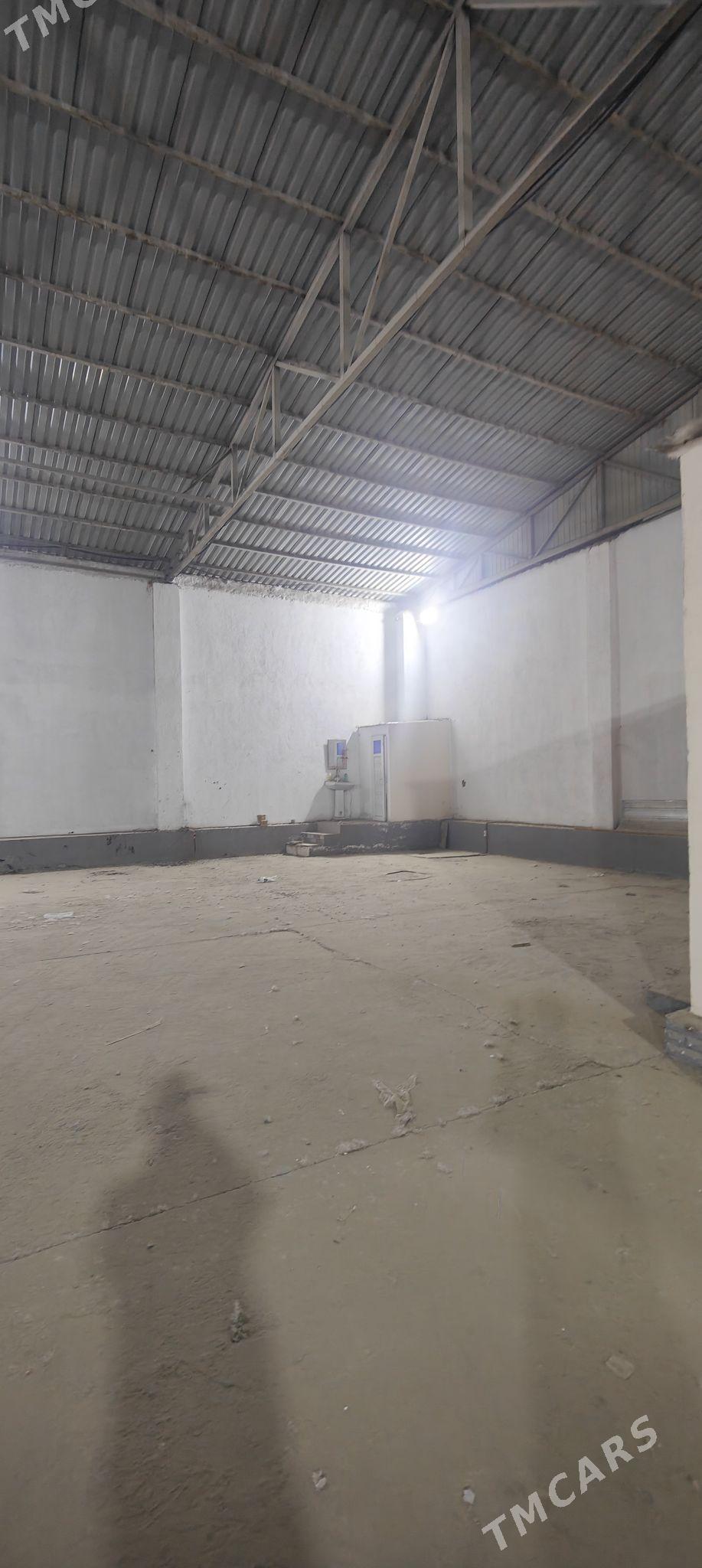 telekeçiler üçin ak tam sklat - Änew - img 4