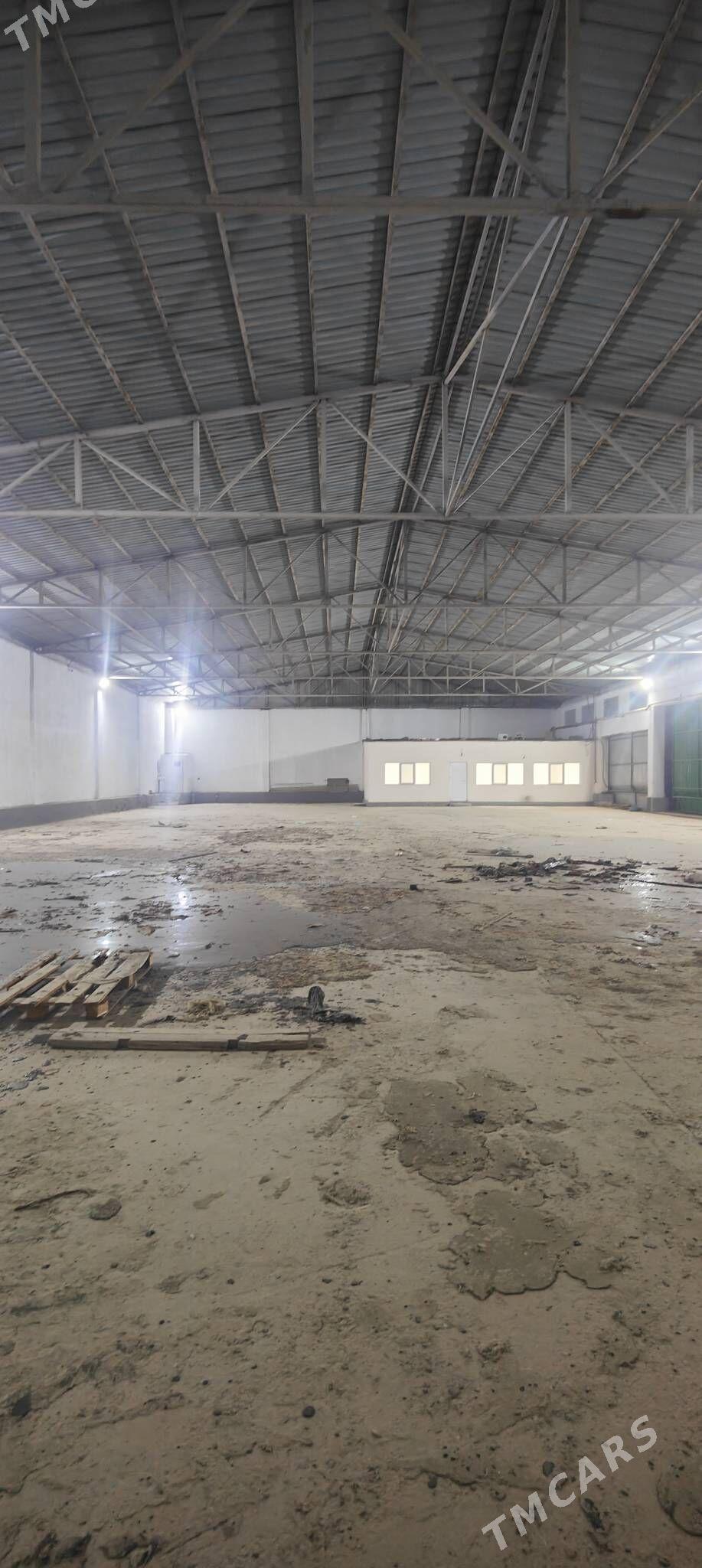 telekeçiler üçin ak tam sklat - Änew - img 1