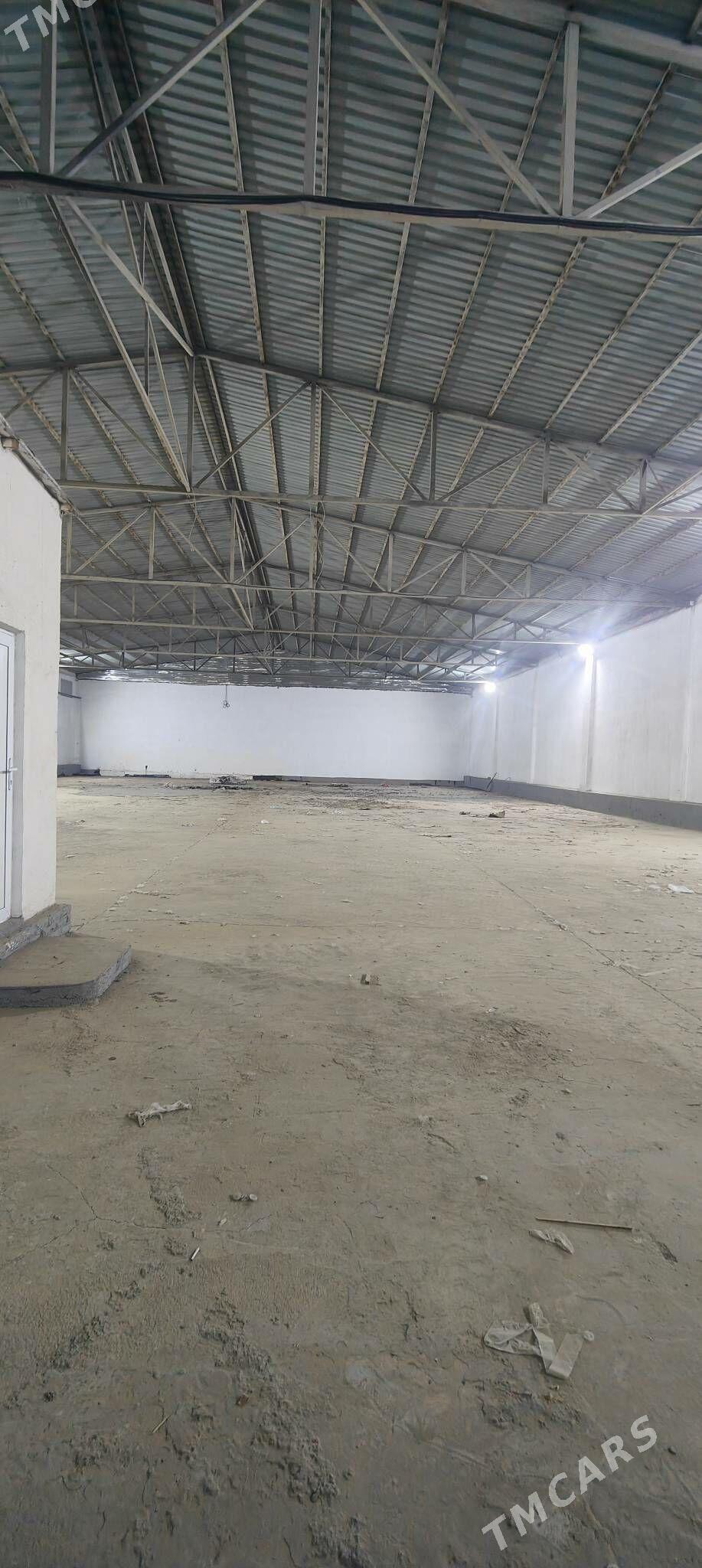 telekeçiler üçin ak tam sklat - Änew - img 3