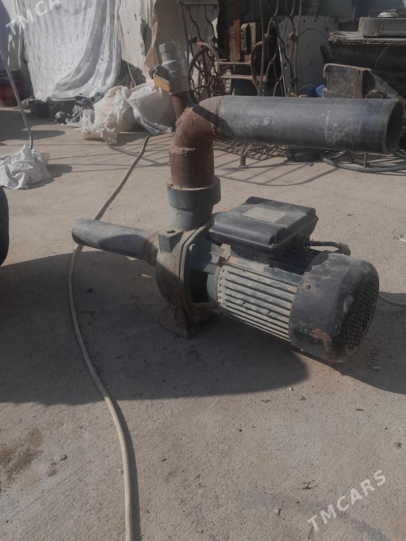 Shimge - Gökdepe - img 2