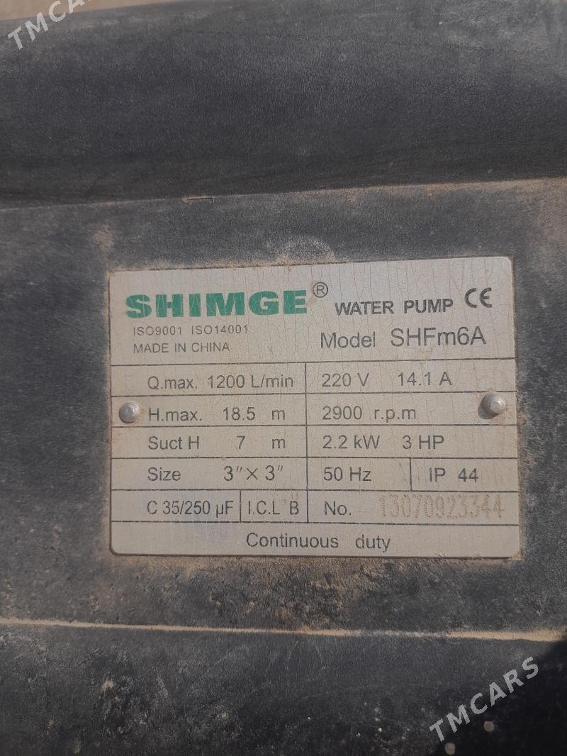 Shimge - Gökdepe - img 3