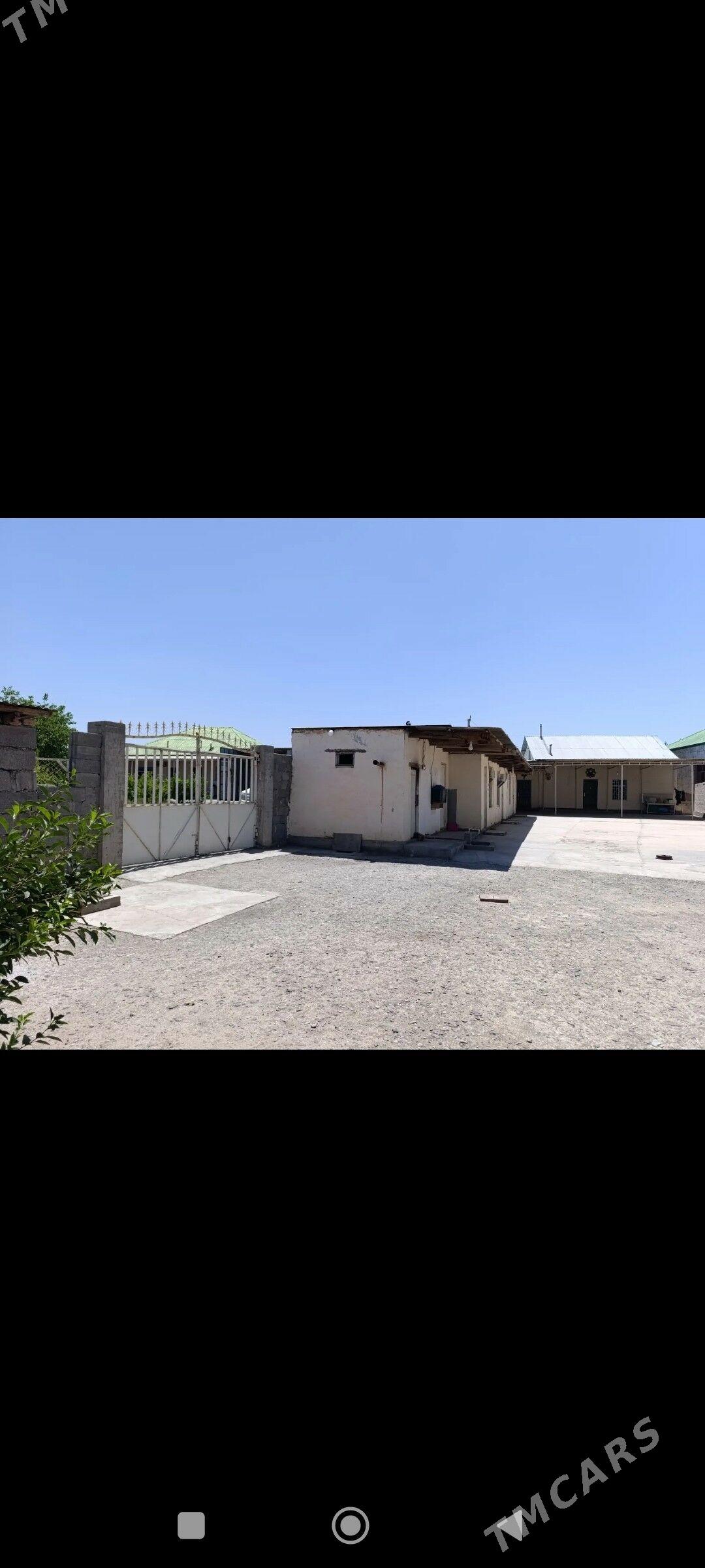 şor garadamak - Garadamak Şor - img 2