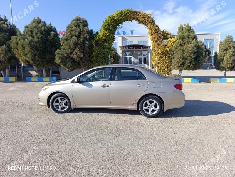 Toyota Corolla 2010 - 135 000 TMT - Tejen - img 1
