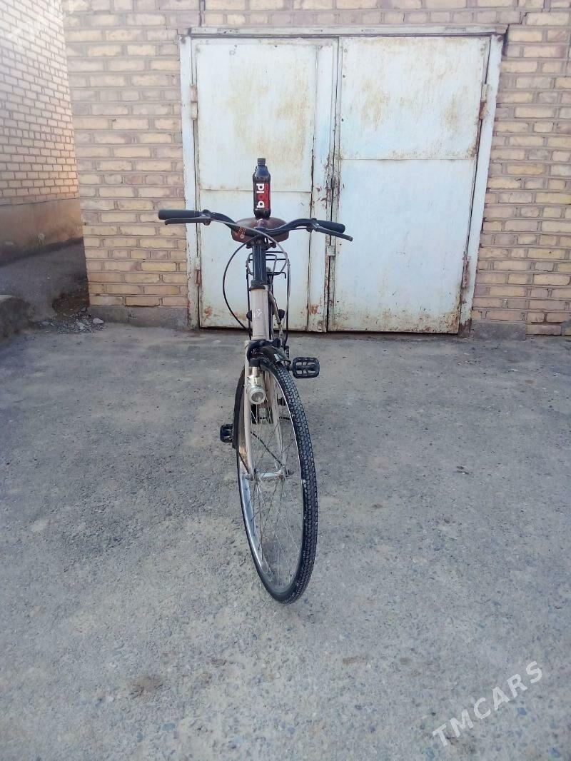 Welik - Теджен - img 2