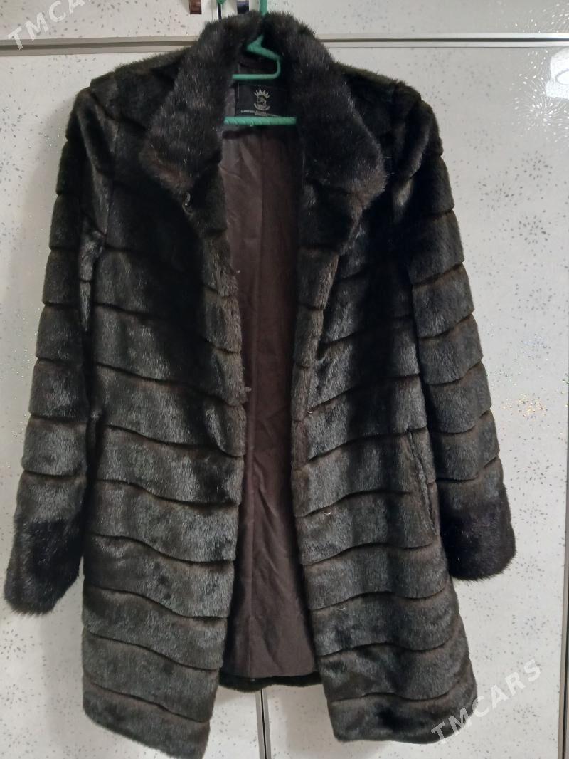 Şuba - Türkmenbaşy - img 3