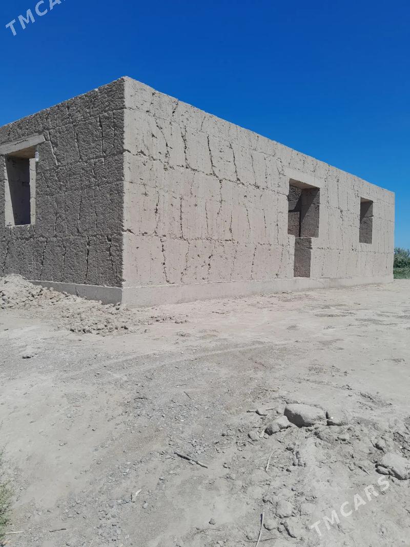 jay - Гороглы (Тагта) - img 2