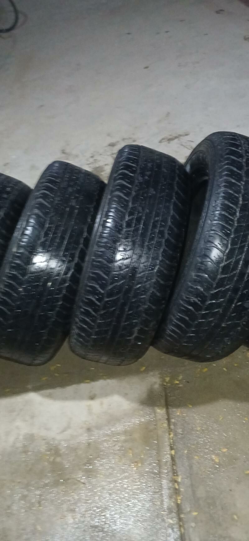 teker 300 TMT - Bekrewe - img 3