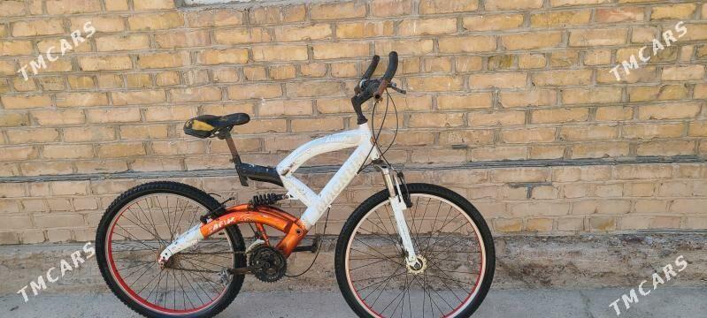 welsopet kama tigir - Mary - img 2