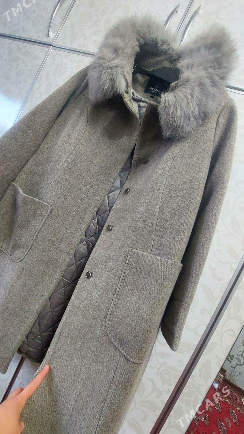 Palto - Мир 3 - img 4