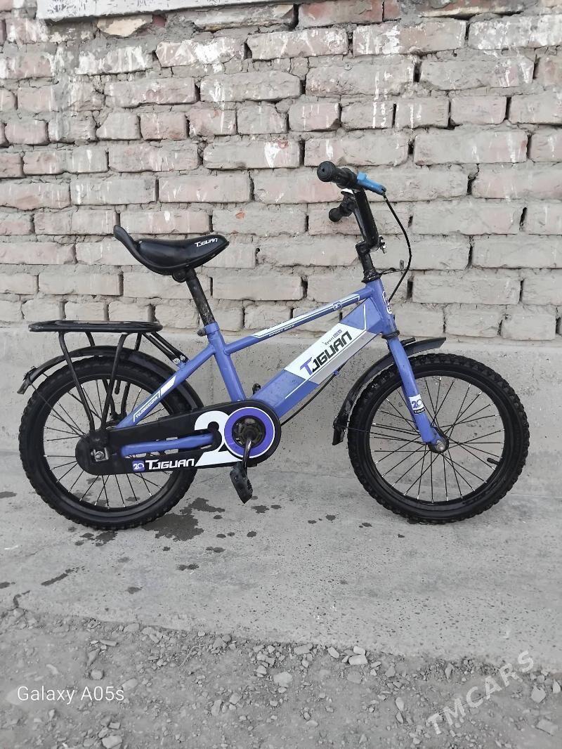 TİGİR - Bäherden - img 2