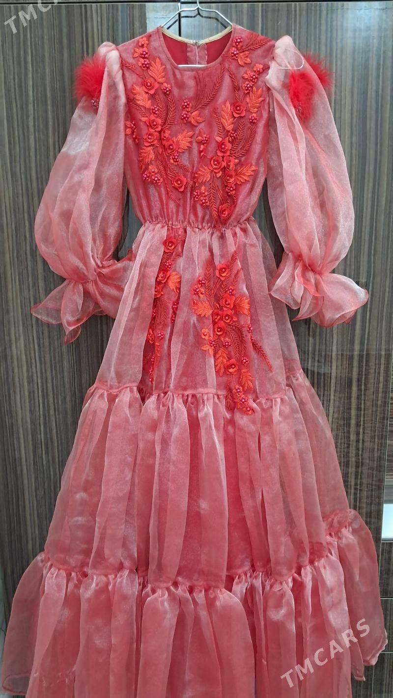 toy koyenekler - Balkanabat - img 1