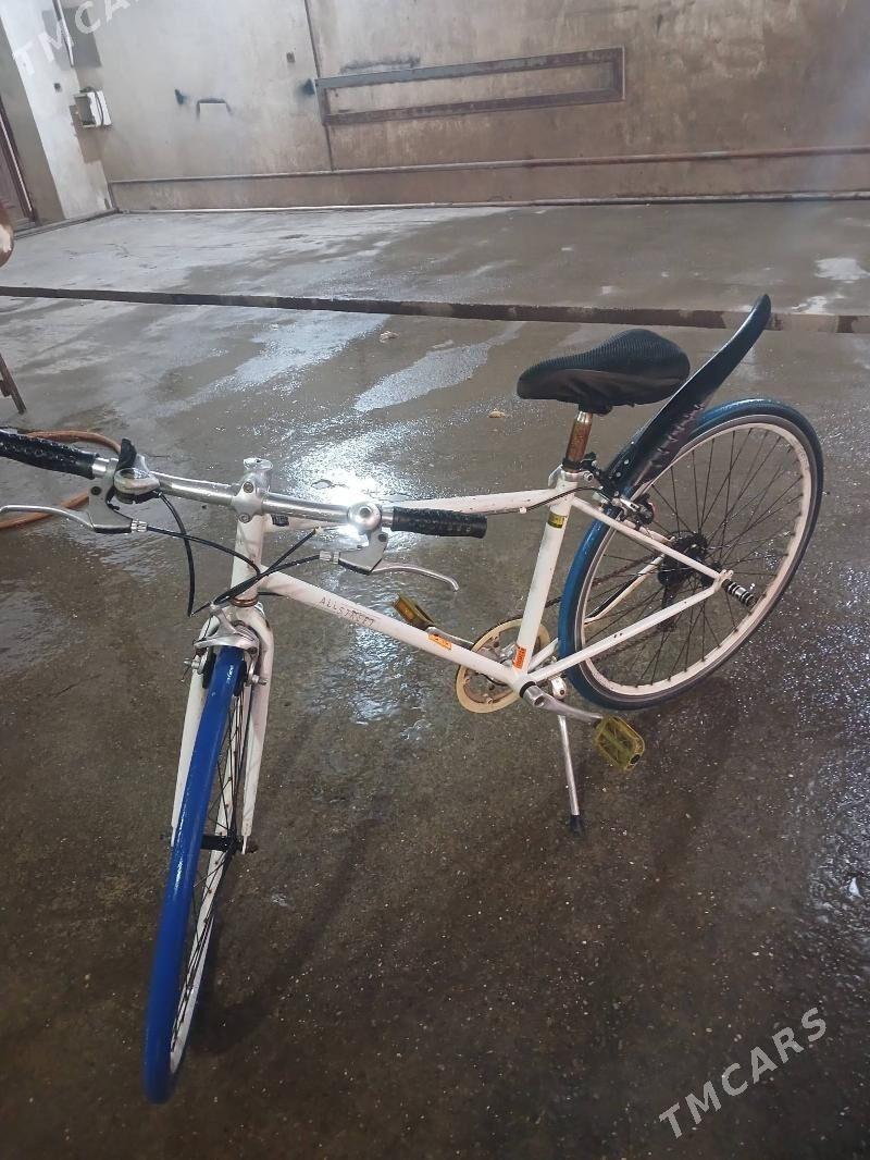 Tigir - Шабатский этрап - img 2