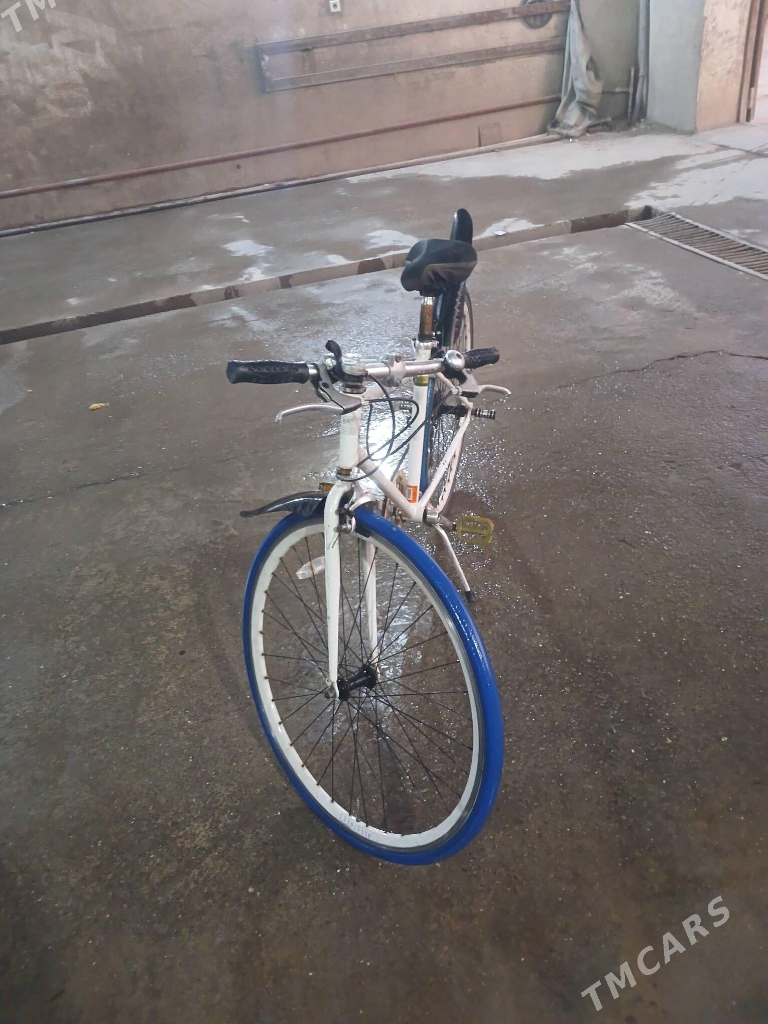 Tigir - Шабатский этрап - img 3