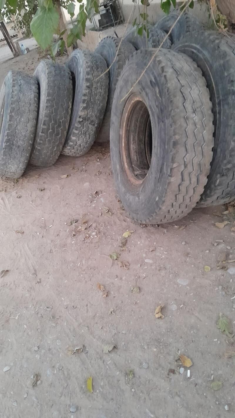 teker tyrangel 6 000 TMT - Ашхабад - img 2