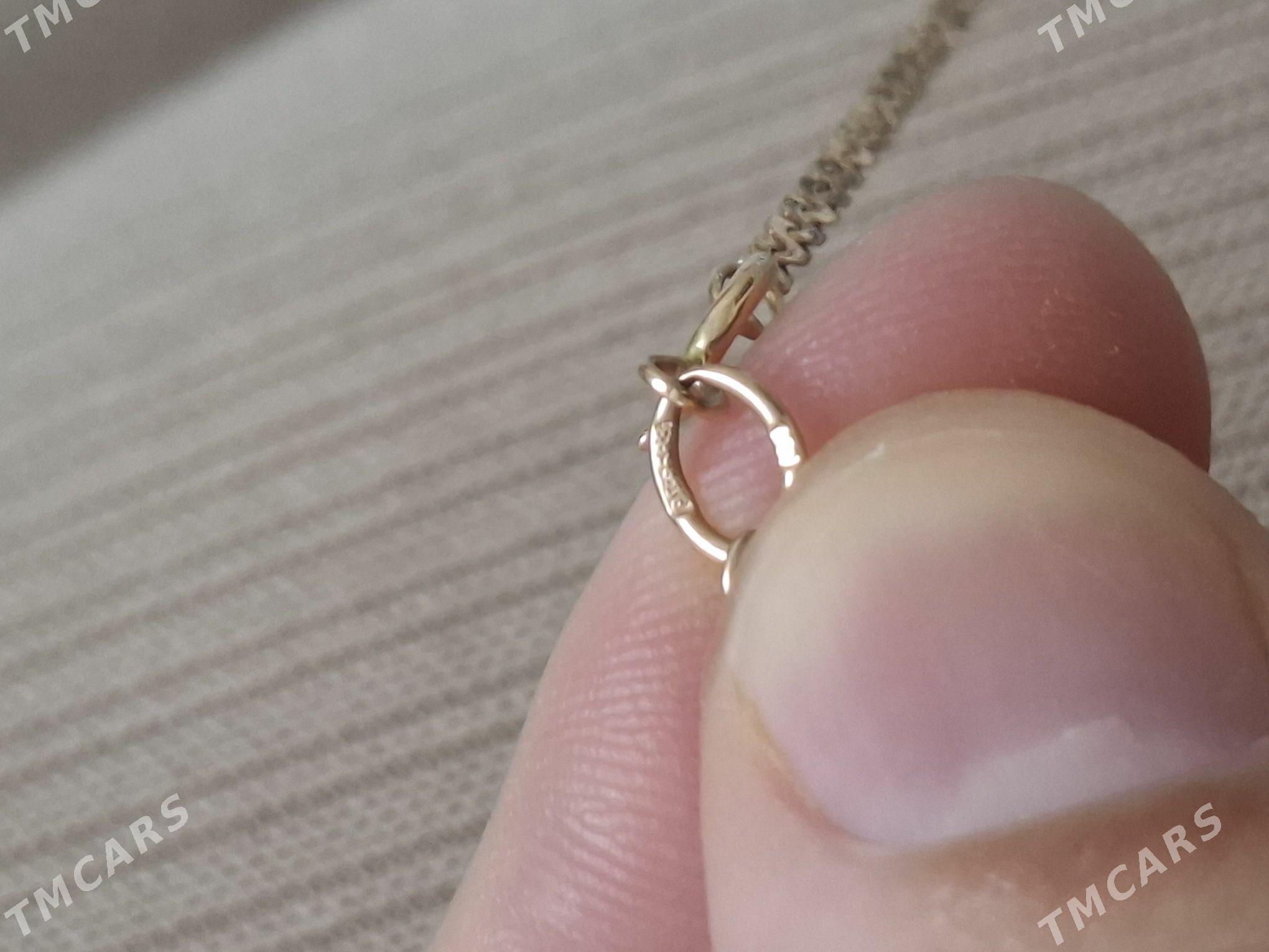 gyzyl zmeyka - Ашхабад - img 2