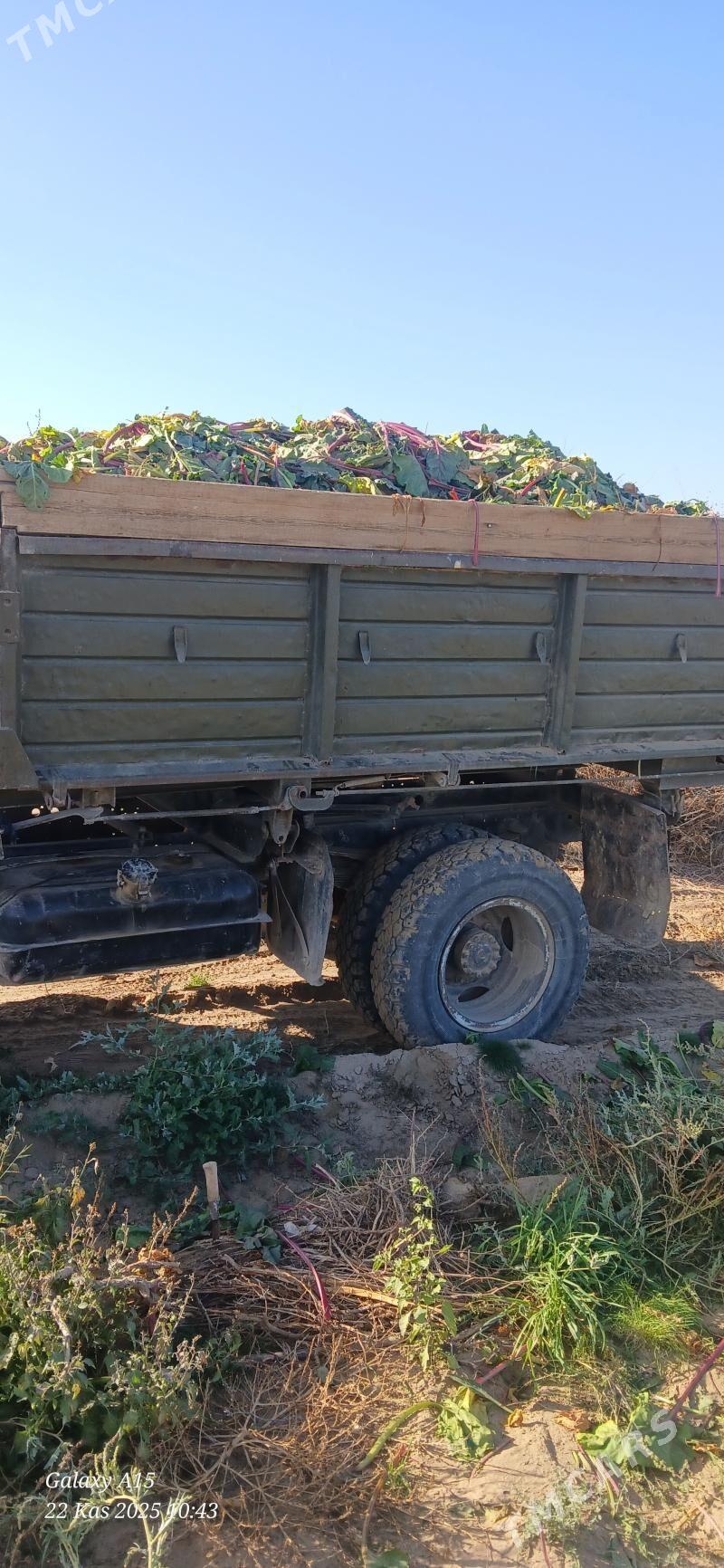 sugundur yaşy - Aşgabat - img 2