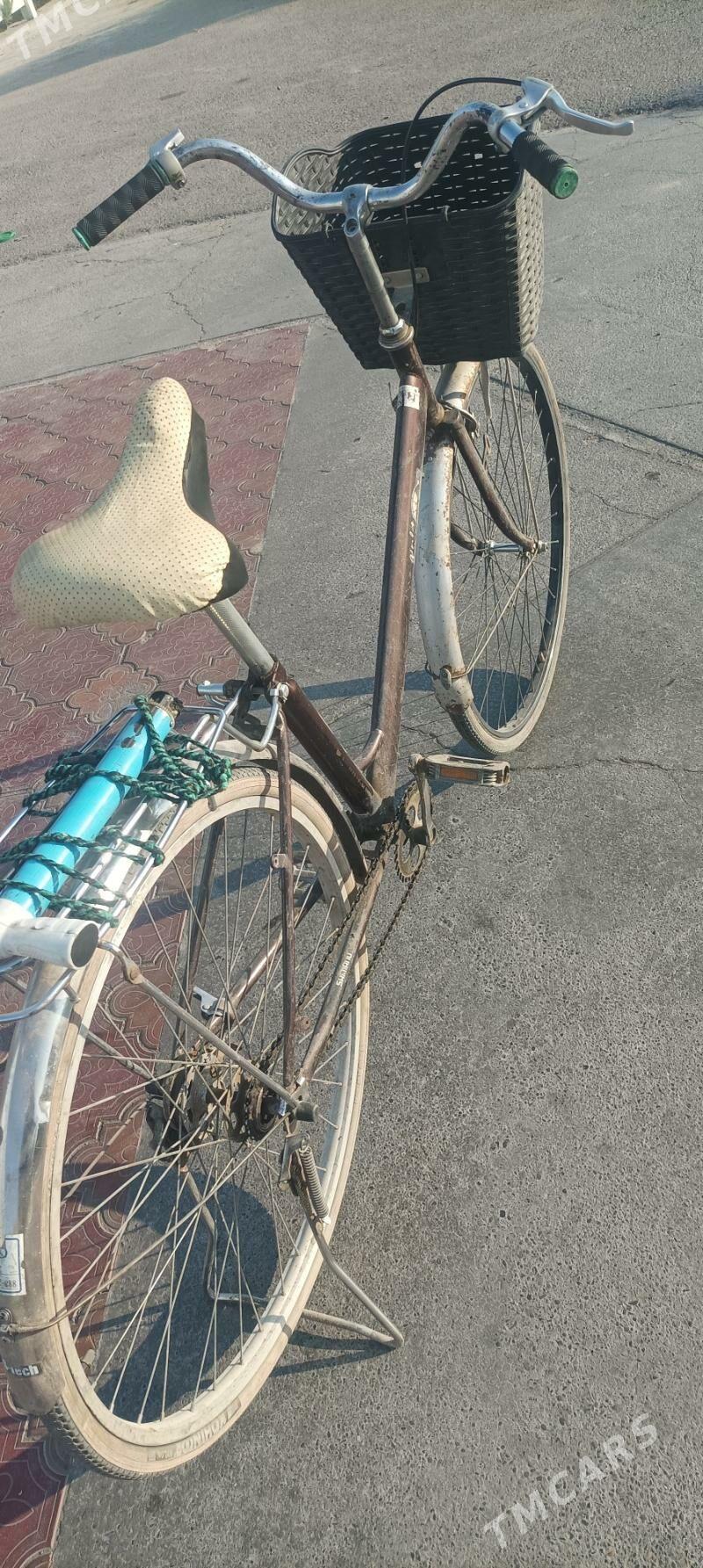 welik 27 - Мары - img 2