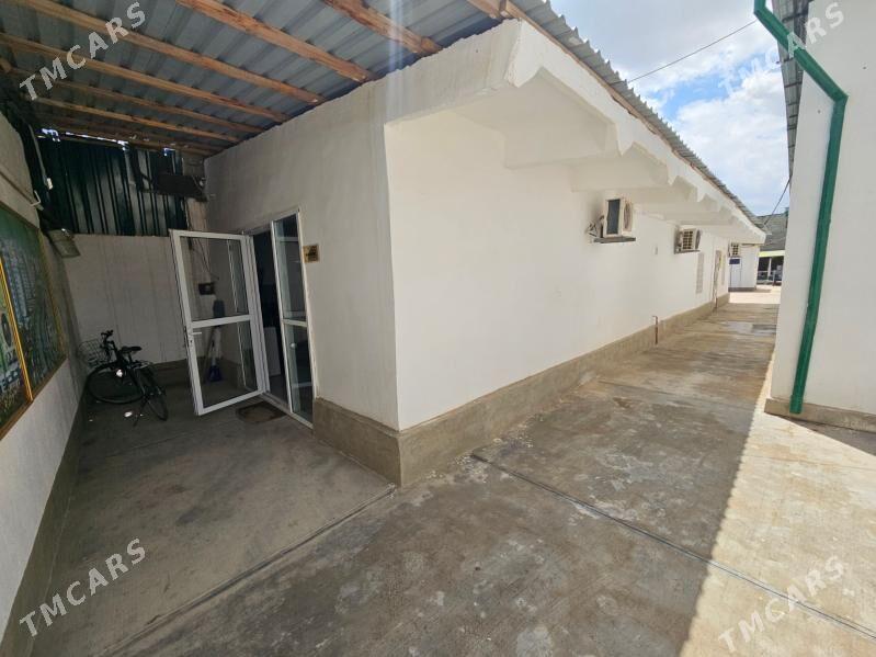 seh zawot önümçilik - Büzmeýin - img 7