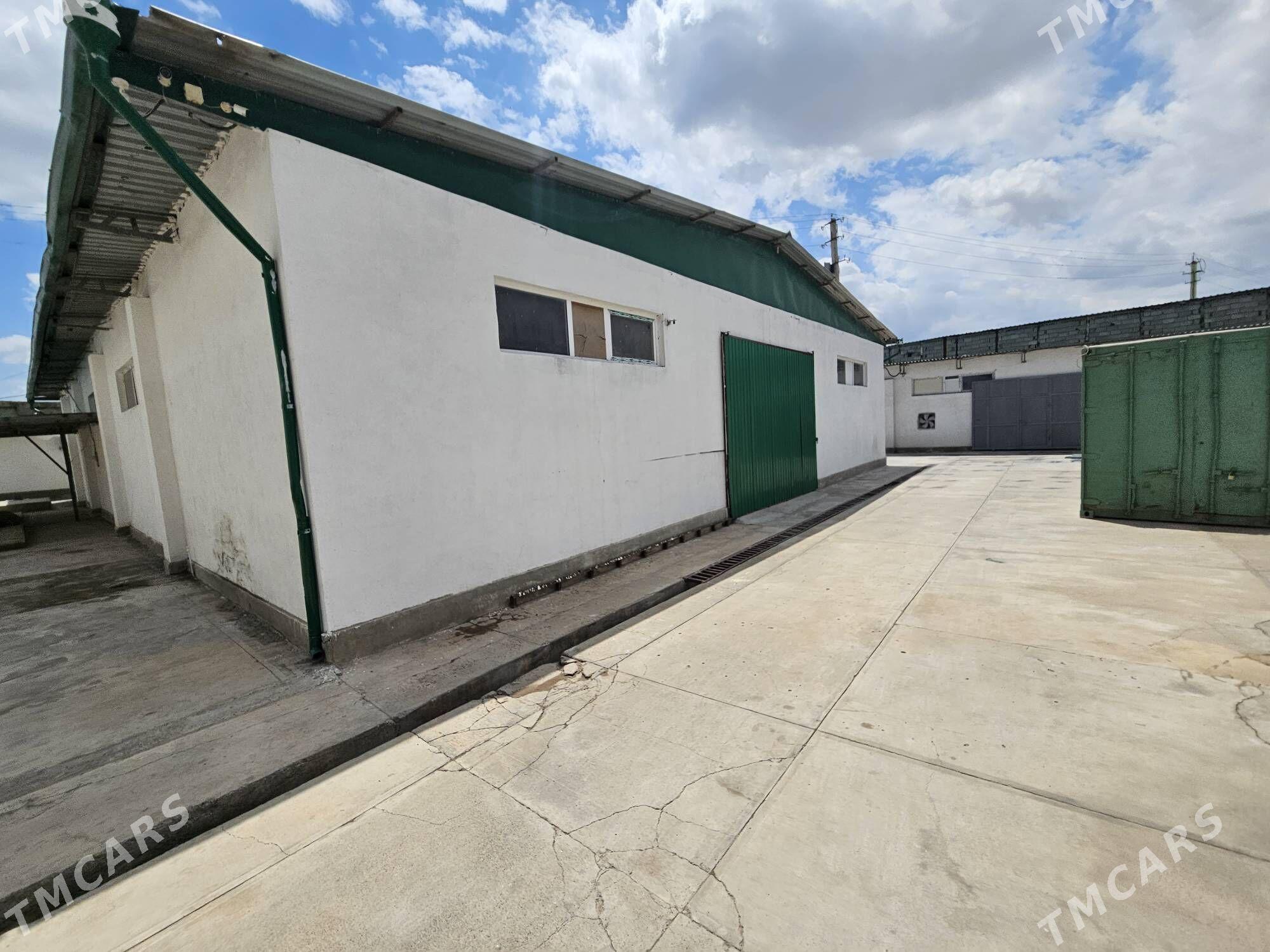 seh zawot önümçilik - Büzmeýin - img 2