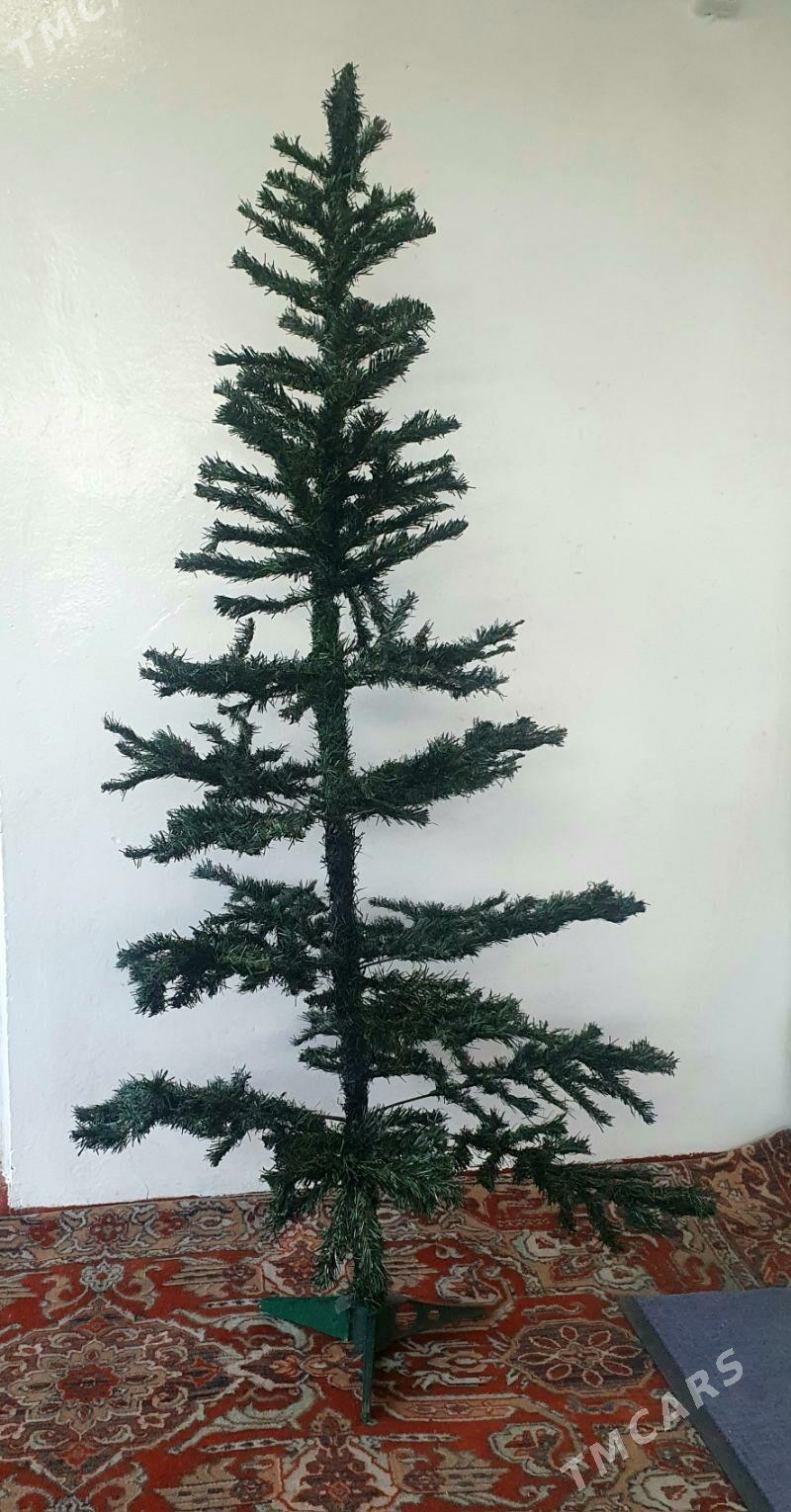 Елка-Yolka - Ашхабад - img 1