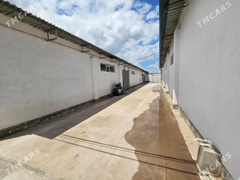 seh zawot önümçilik - Büzmeýin - img 4