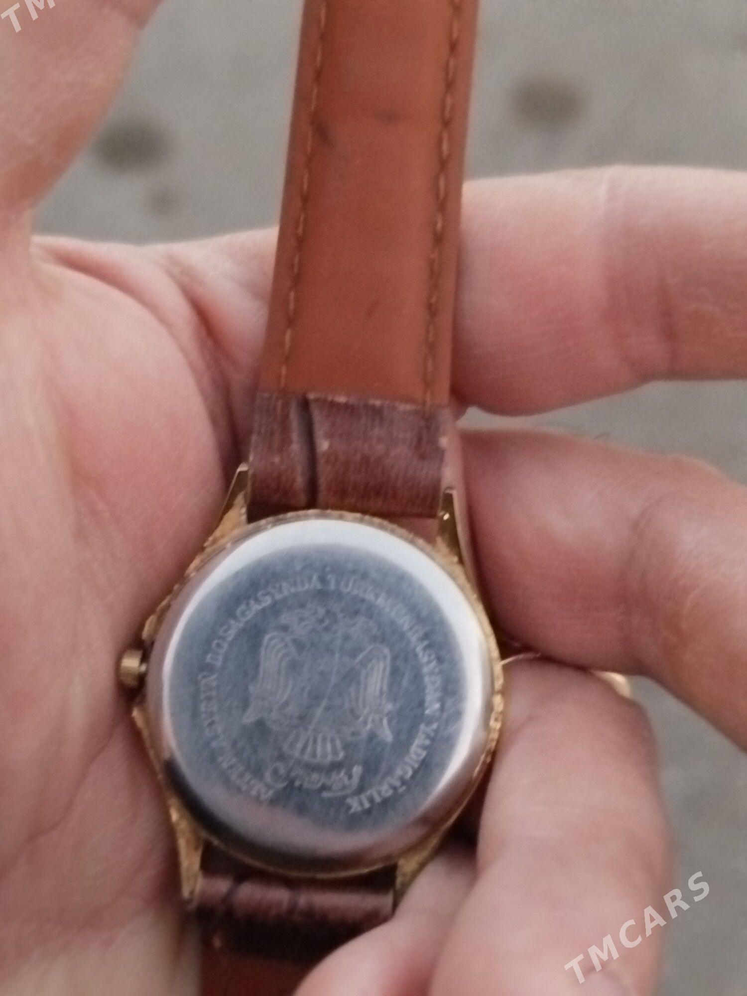 sagat - Mary - img 3