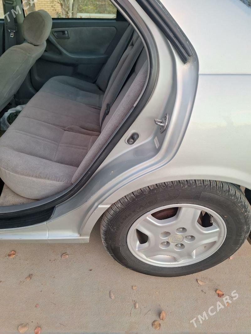 Toyota Camry 2000 - 145 000 TMT - Sakarçäge - img 7