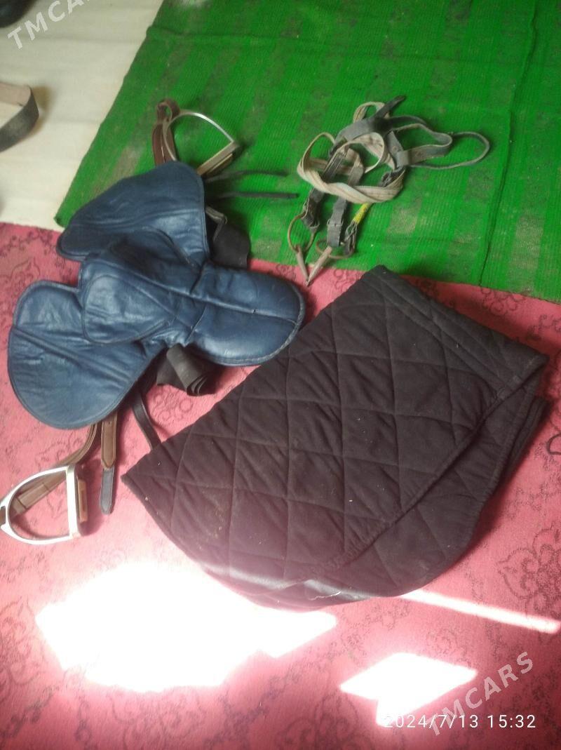 at eger - Şabat etr. - img 2