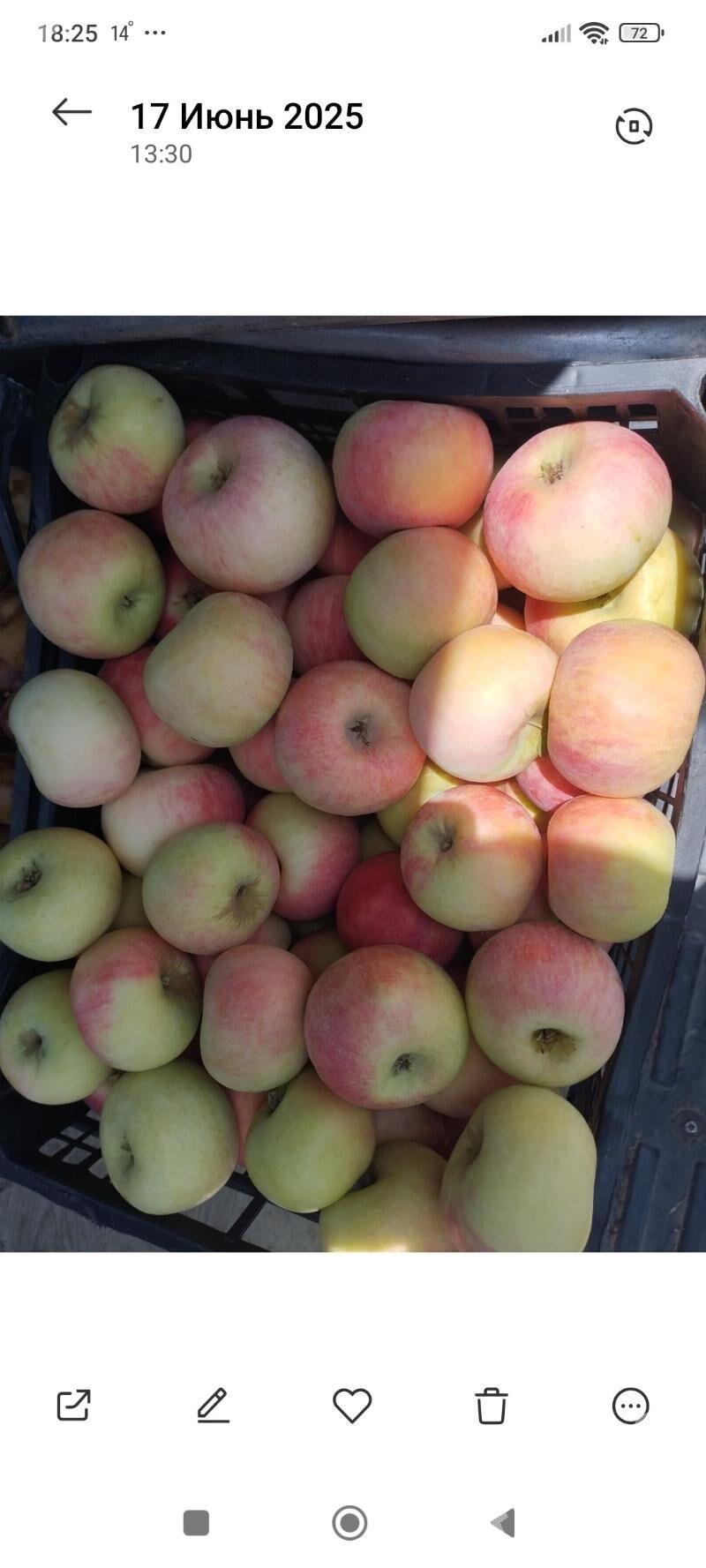 Alma şitil nahallar - Аркадаг - img 3