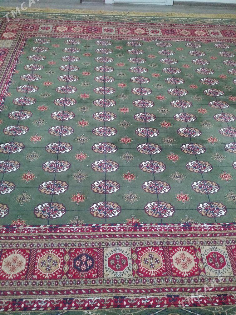 Altyn çitim - Balkanabat - img 2