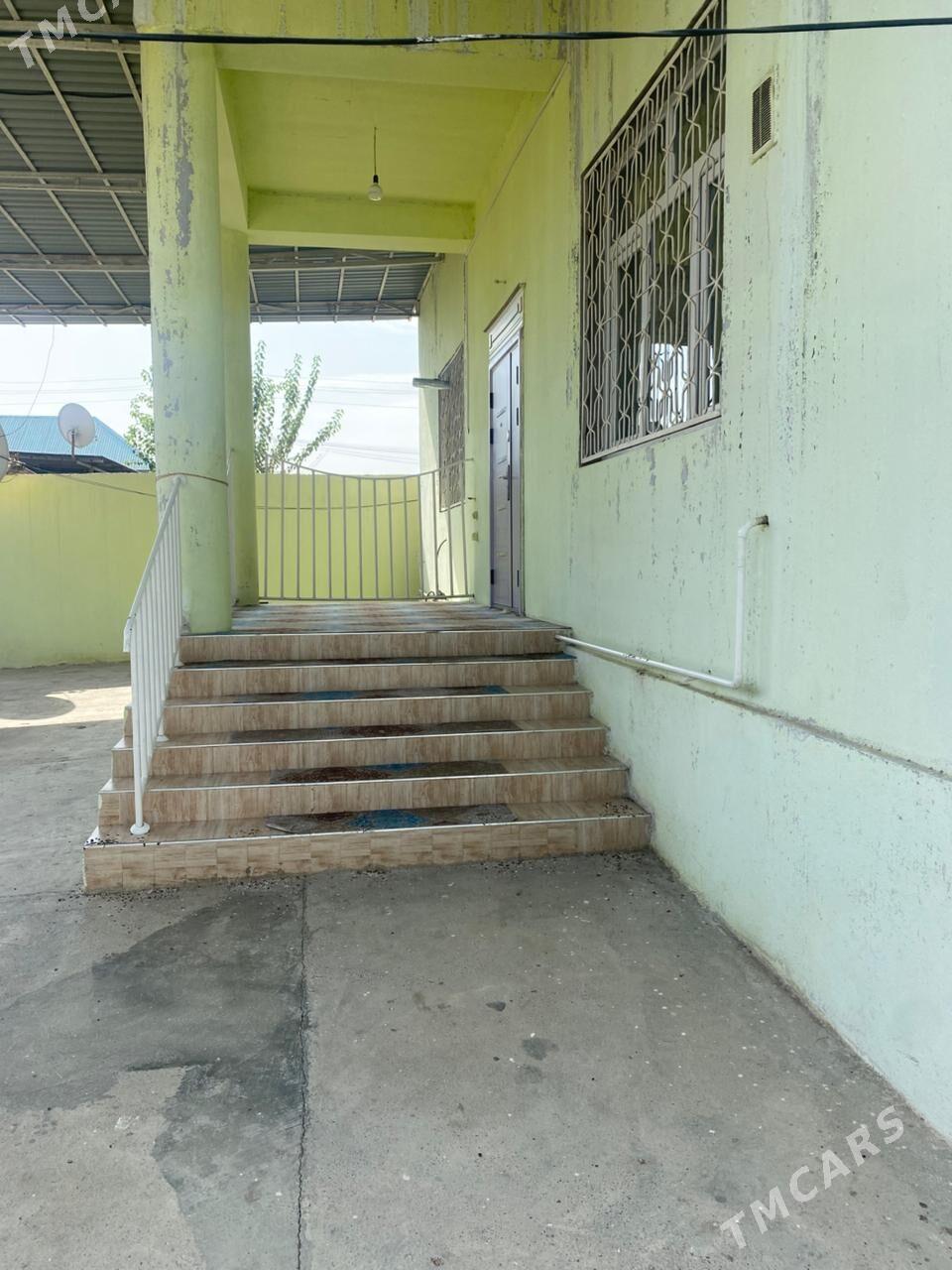 Anew Magtymguly 15nji koce - Анев - img 7