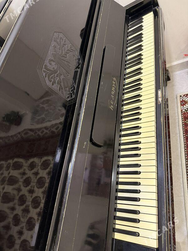 Pianino - Änew - img 2