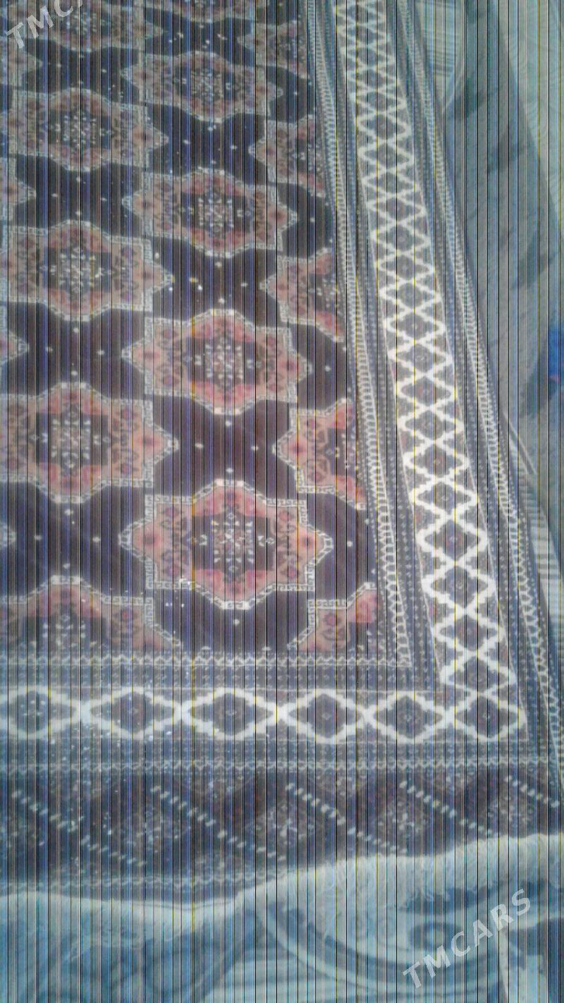 Ady ak maýa - Esenguly - img 3