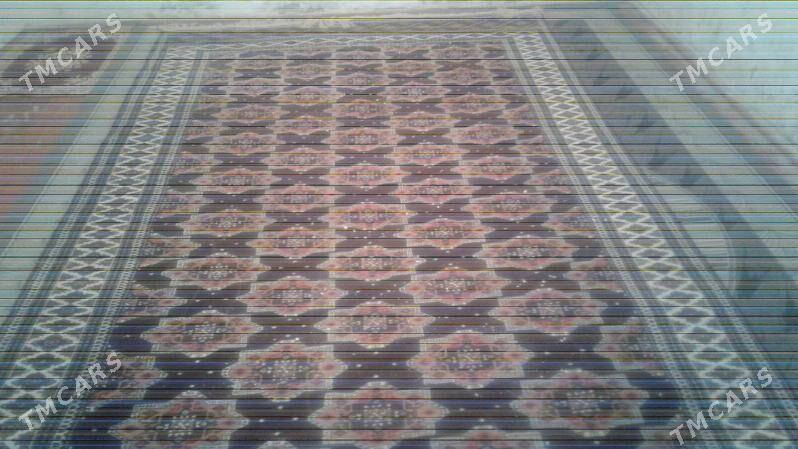 Ady ak maýa - Esenguly - img 4