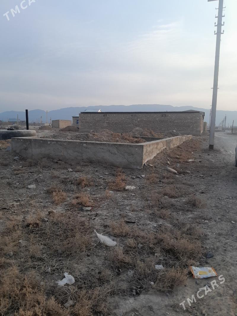 Ýer janahyrda - Gyzylarbat - img 5