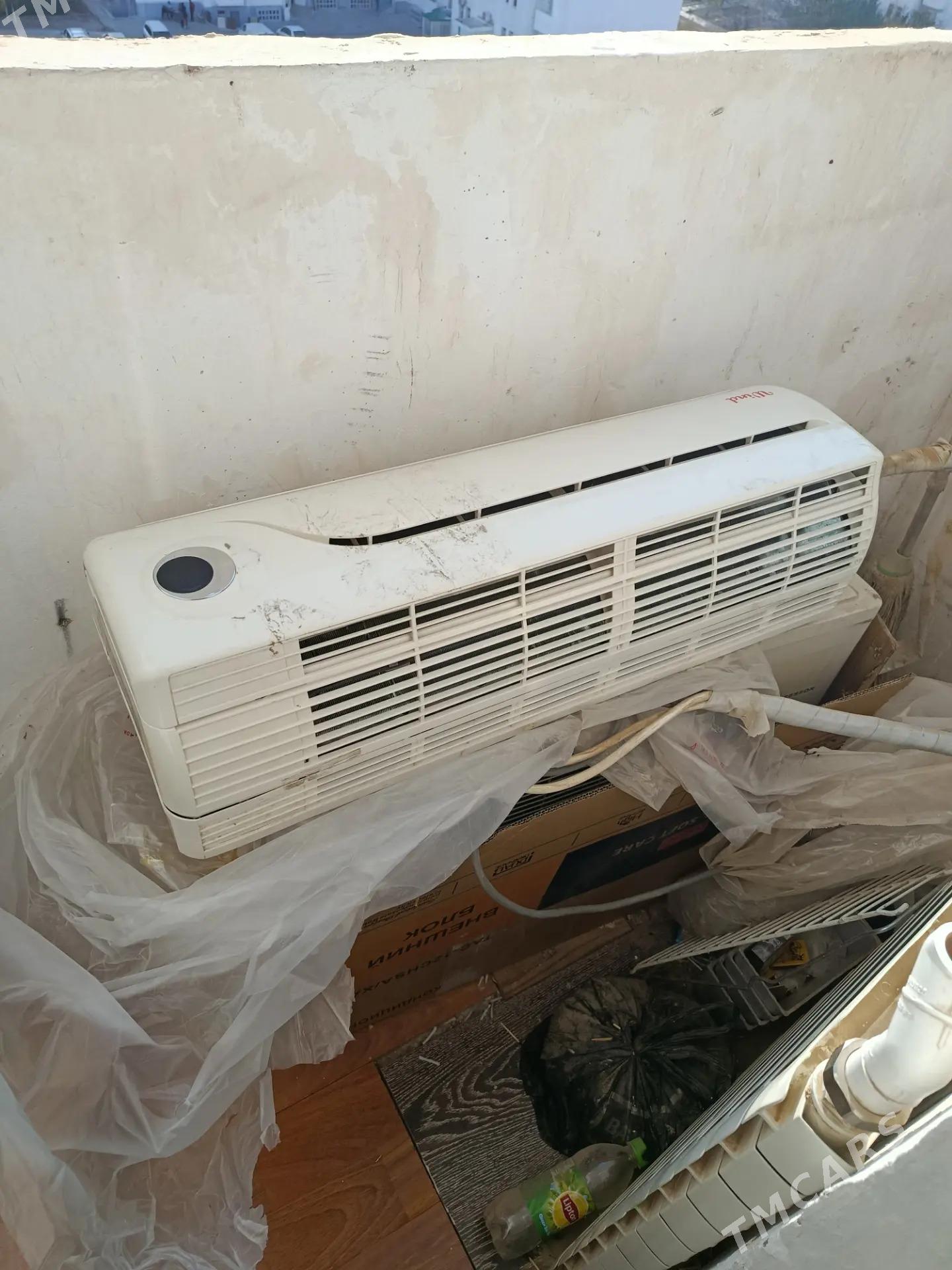 Wild - Ашхабад - img 2