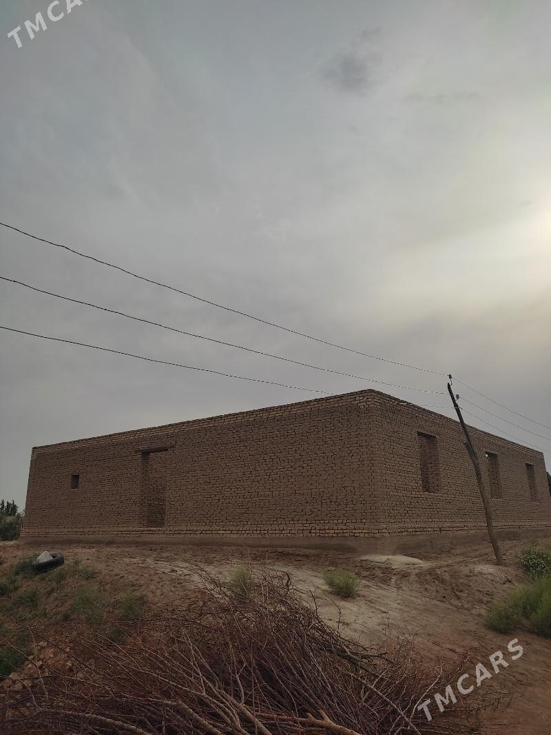 satlyk jay - Гороглы (Тагта) - img 4