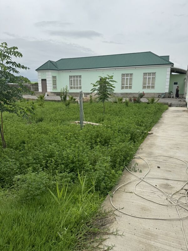 gypjak yer jaý - Gypjak - img 5