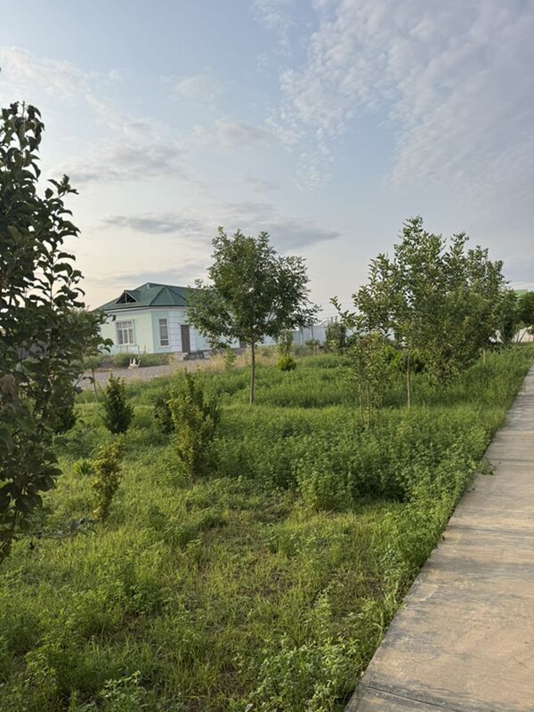 gypjak yer jaý - Gypjak - img 6