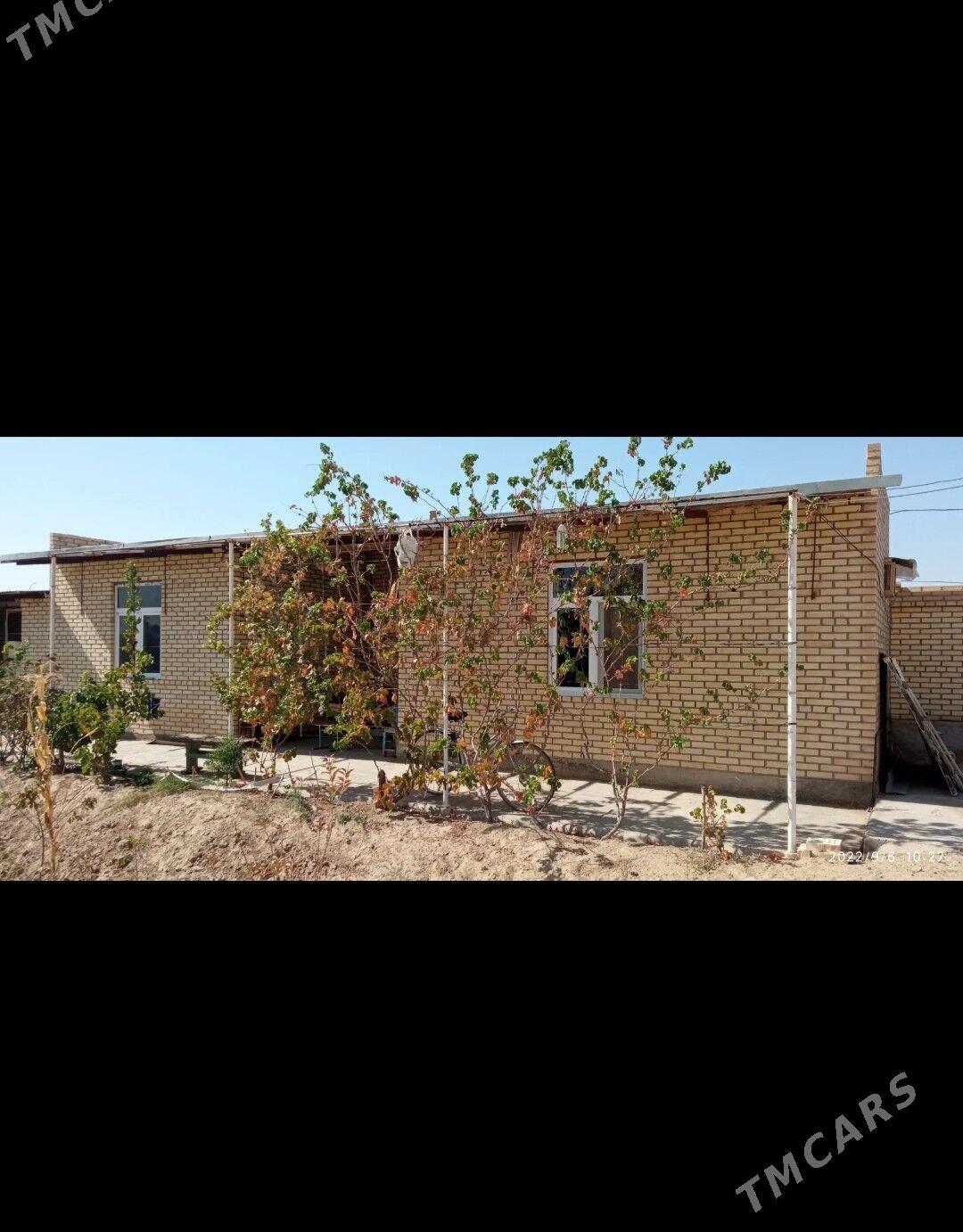 Сатлык жай - Мары - img 2