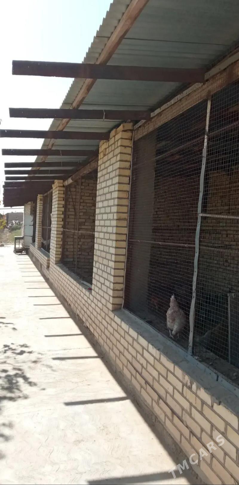 Сатлык жай - Мары - img 3