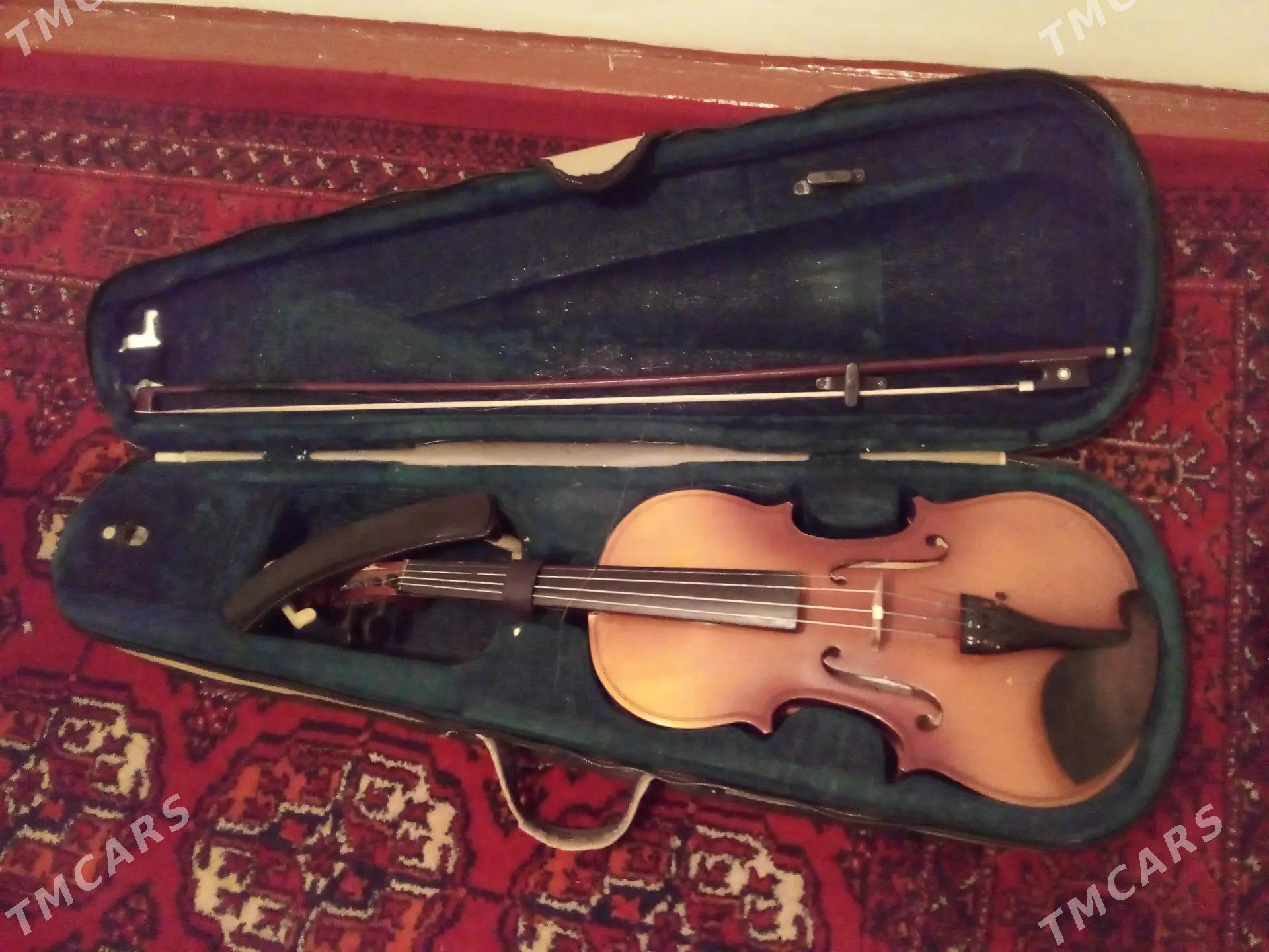 skripka - Сакар - img 2