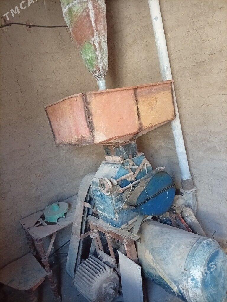 зараз 30 лык - Halaç - img 3