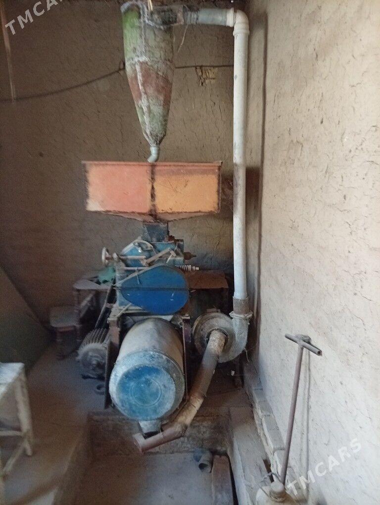 зараз 30 лык - Halaç - img 2