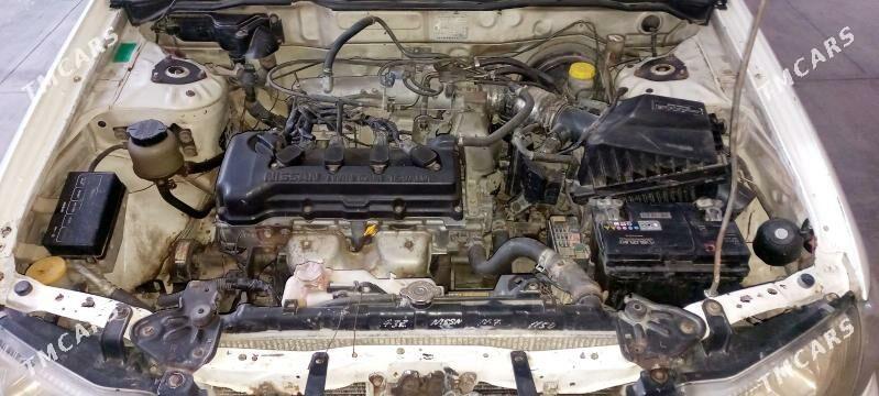 Nissan Sunny 2002 - 65 000 TMT - Кёнеургенч - img 6